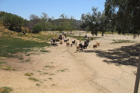 Laurel Canyon Dog Park photo 1